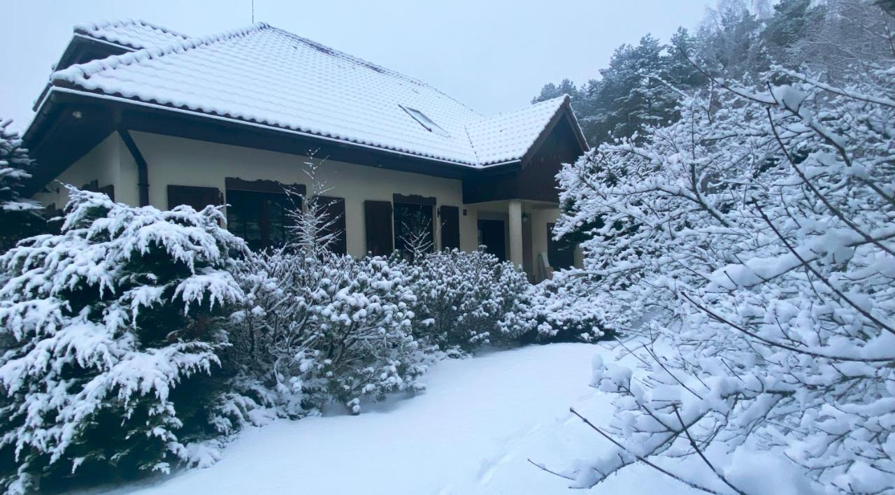 Villa Szeroki Bór oaza w Puszczy Exterior foto