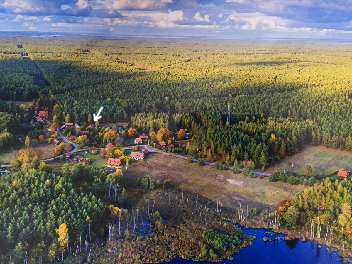 Villa Szeroki Bór oaza w Puszczy Exterior foto